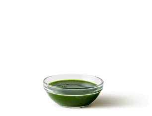 wheatgrass